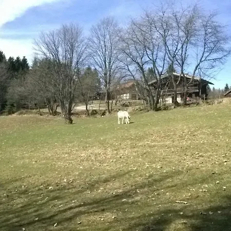 Haus Annemarie *